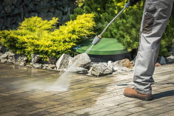 Best Pre-Holiday Cleaning  in Vista Santa Rosa, CA